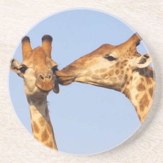 キス コースター (正面)