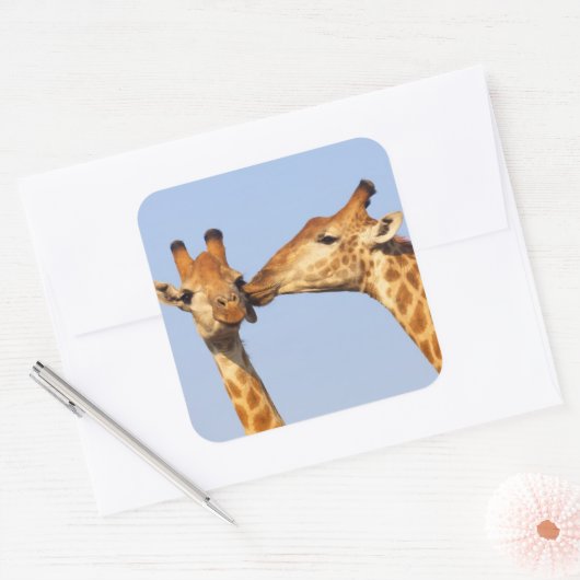 キス スクエアシール (封筒)