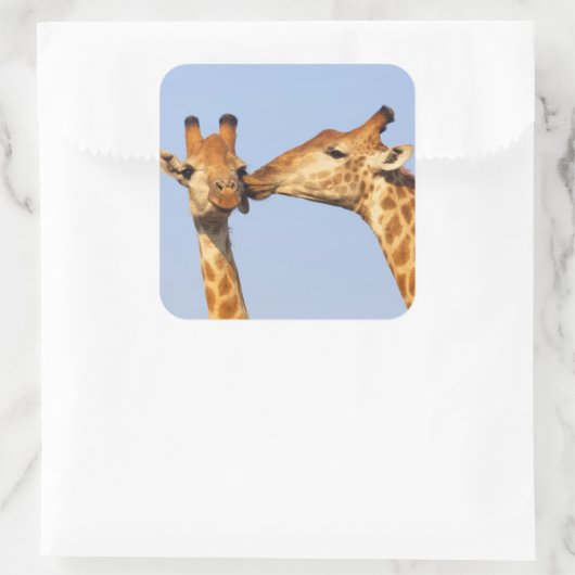 キス スクエアシール (バッグ)