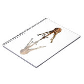 キス ノートブック (左側)