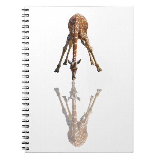 キス ノートブック (正面)