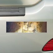 キス バンパーステッカー (車上)