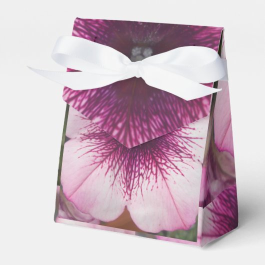 キス フェイバーボックス (正面サイド)