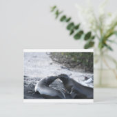 キス ポストカード (スタンド正面)