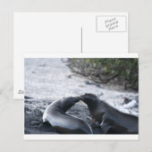 キス ポストカード (正面/裏面)