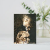 キス ポストカード (スタンド正面)