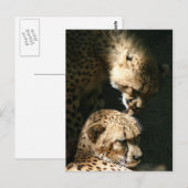 キス ポストカード (正面/裏面)