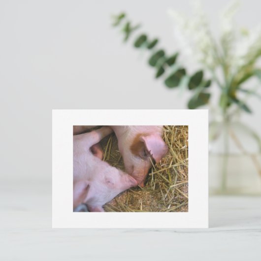 キス ポストカード (スタンド正面)