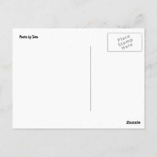 キス ポストカード (裏面)