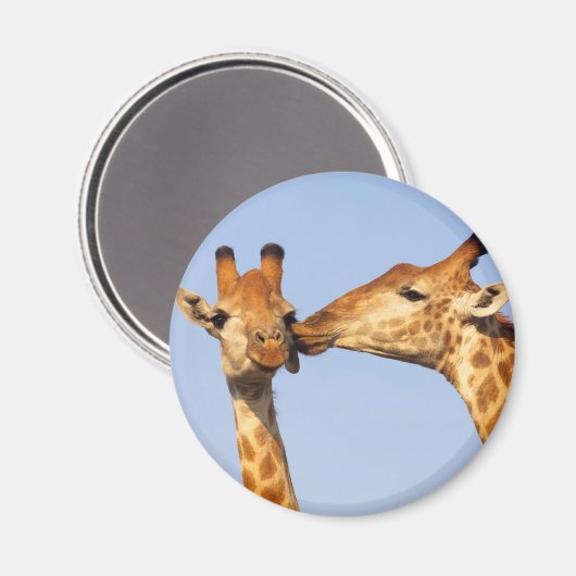 キス マグネット (正面/裏面)