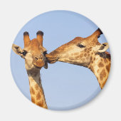 キス マグネット (正面)