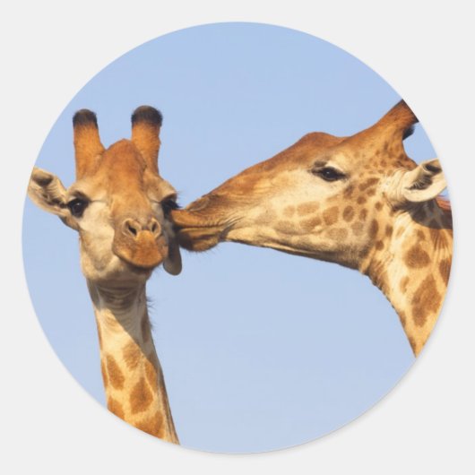 キス ラウンドシール (正面)