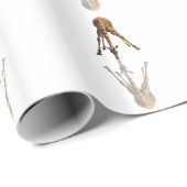 キス ラッピングペーパー (ロールコーナー)