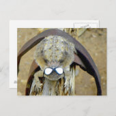 キソTroy...ハイチェリー…ロル…またはOM Gか ポストカード (正面/裏面)