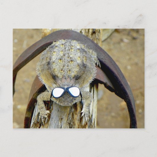 キソTroy...ハイチェリー…ロル…またはOM Gか ポストカード (正面)