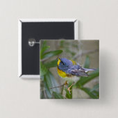 キタアメリカムシクイ (Parula americana) 缶バッジ (正面&裏面)