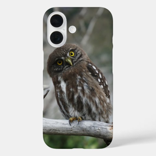 キタテハチクグイ Case-Mate iPhoneケース (裏面)