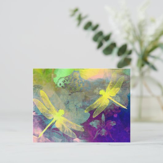 キタバエ ポストカード (スタンド正面)