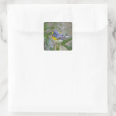 キタミツスイ (Parula americana) スクエアシール (バッグ)