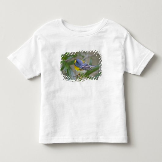 キタミツスイ (Parula americana) トドラーTシャツ (正面)