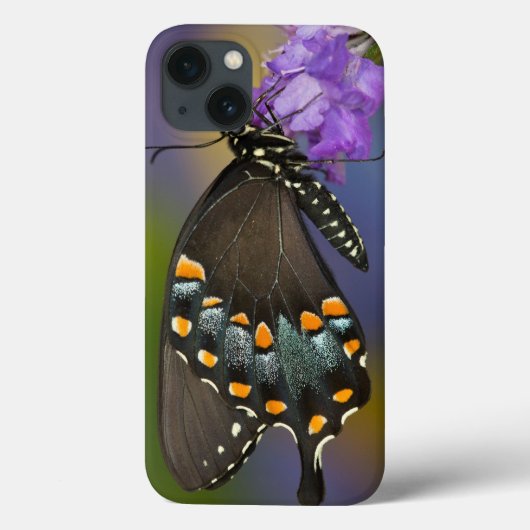キチョウ Case-Mate iPhoneケース (裏面)