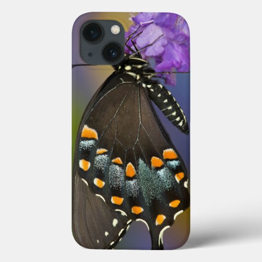 キチョウ Case-Mate iPhoneケース (裏面)