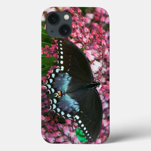 キチョウPhoebis家族の| Case-Mate iPhoneケース (裏面)