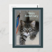 キッよくはしゃぐテン記念葉書 ポストカード (正面/裏面)