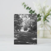 キッカポ州パークブリッジハガキ ポストカード (スタンド正面)