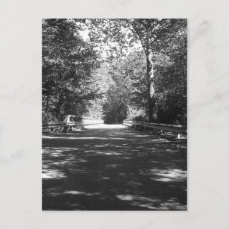 キッカポ州パークブリッジハガキ ポストカード