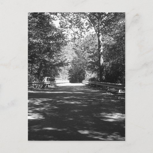 キッカポ州パークブリッジハガキ ポストカード (正面)