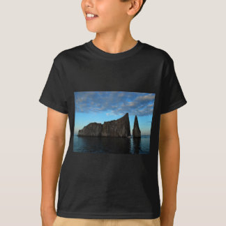 キッカー石、ガラパゴス Tシャツ