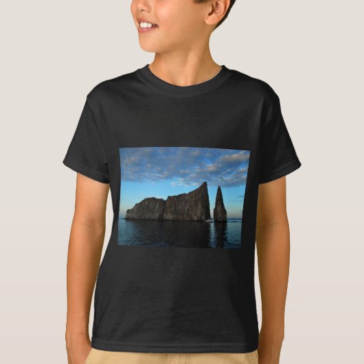 キッカー石、ガラパゴス Tシャツ (正面)