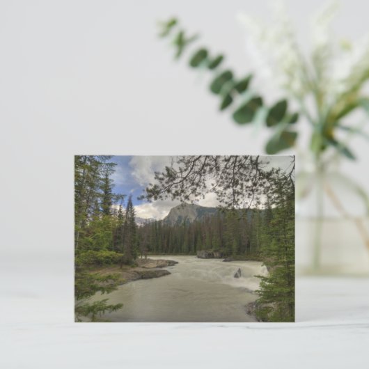 キック馬川 ポストカード (スタンド正面)