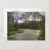 キック馬川 ポストカード (正面/裏面)