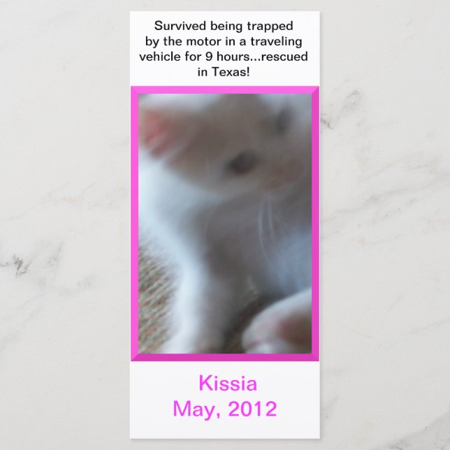 キッシア(小さな女の子子猫)ラックカードまたはブックマーク (正面)