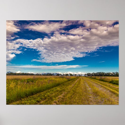 キッシミープレリーリハーサル州パークのトレイル ポスター (正面)