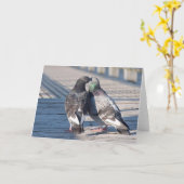 キッシングピジョンズ フレームアートカード カード (黄色い花)