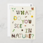 キッズナチュラリスト自然探検家 ポストカード (正面/裏面)