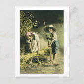 キッズラキングヘイヤ1903ヴィンテージハンドカラー ポストカード (正面)