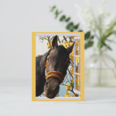 キッチンの窓から見る奇妙な馬 ポストカード (スタンド正面)