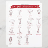 キッチンガイド：食用キノコ (正面/裏面)