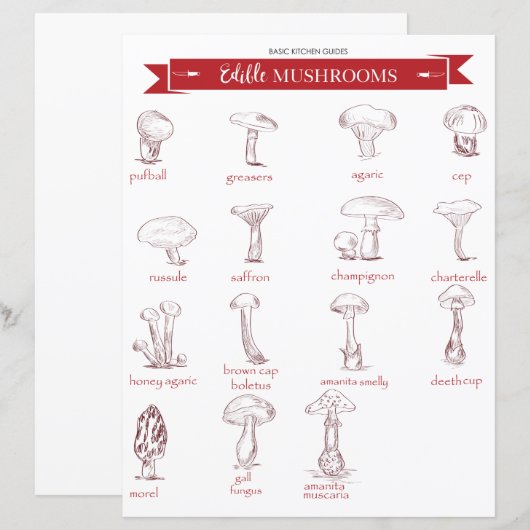 キッチンガイド：食用キノコ (正面/裏面)