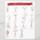 キッチンガイド：食用キノコ (正面)