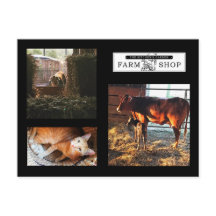 キッチンズガーデンコラージポストカード