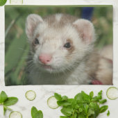 キッチンタオル (折り畳み)