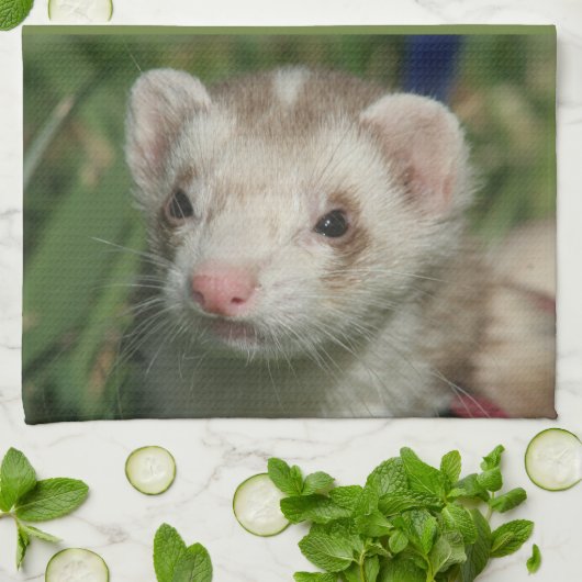 キッチンタオル (折り畳み)