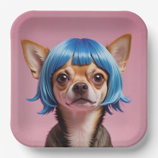 キッチンタオル ペーパープレート (正面)