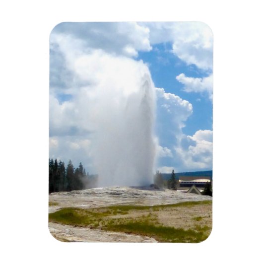 キッチンマグネット古い忠実なイエローストーン マグネット (縦)