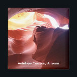 キッチン マグネット<br><div class="desc">私たちの"Roar"コレクションから一部あなたを持ってきた。</div>